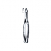 Extracting Forceps American Pattern